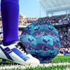 Black And White Stripes With Shield Printed Size 5 Soccer Balls, Anti-Slip, Protective Football, Outdoor Sport, a Unique Gift Suitable for Birthday