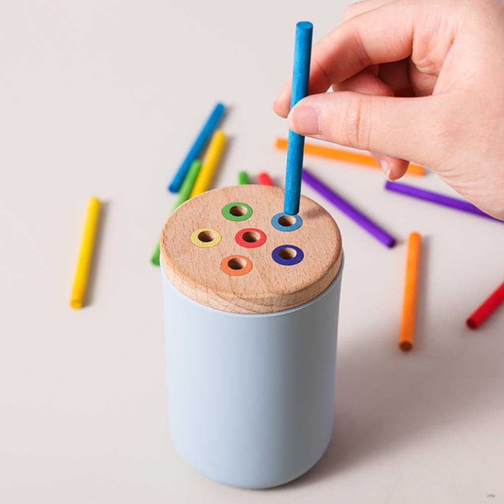 Counting Montessori Toys Wooden Stick Matching Games Color Sorting Cup Preschool Learning Education Toys for Kids Girls Boys