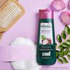 Kesh King Organic Onion Shampoo For Hair Fall Control & Growth, Smooth & Shiny Hair With Curry Leaves – 300ml Bottle