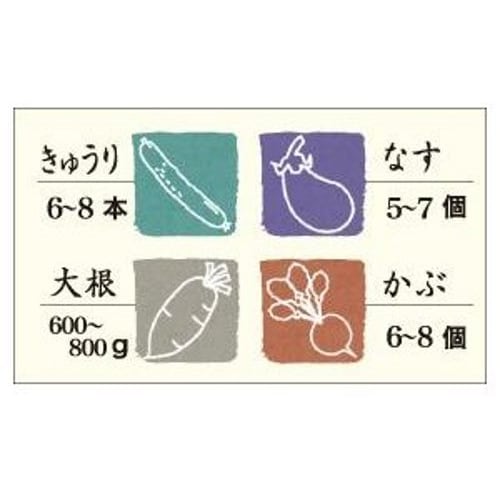 Risu Instant Pickle Container, Square, Clear Blue, 2.2L, Hyperpet, Recipe Included, Made in Japan, S-22