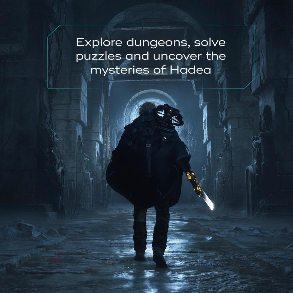 Hell is Us North PS5 (Import version America) -