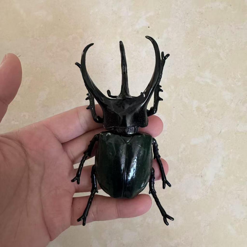 Biographical Analysis of Deer Antler Beetle plus Claw Shaped Insect Beetle Gacha Simulation Animal Movable Joints Figure Playthings