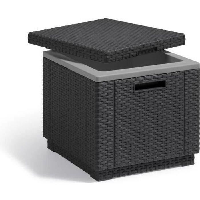 Keter Glaciere Eiswürfel Graphit 405981
