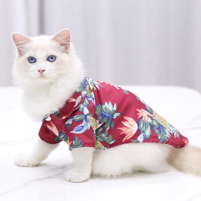 Kleding en schoenen – Vesten en shirts voor honden