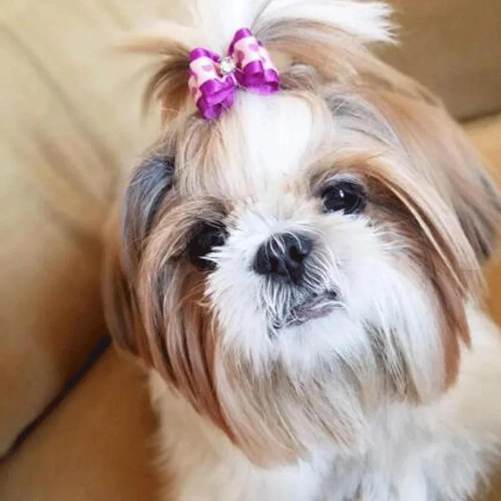 Cute Pet Dog Bow Hair Accessories 10PCS Random Color Puppy Bows Headwear for Small Dogs Pet Gifts