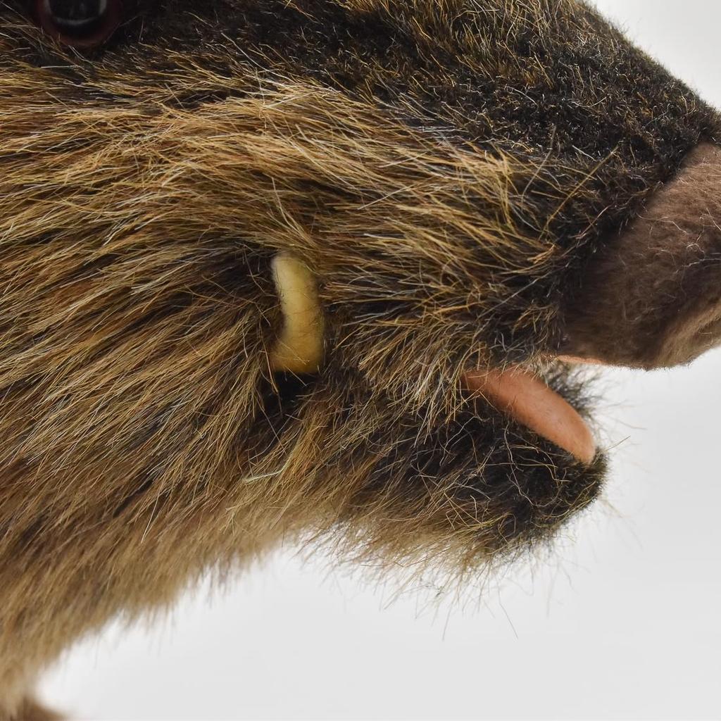 Kanal BH4092 HANSA Keiler 52