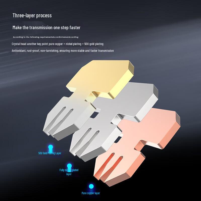 AUCAS Cat6 RJ45 Security Locking Connector