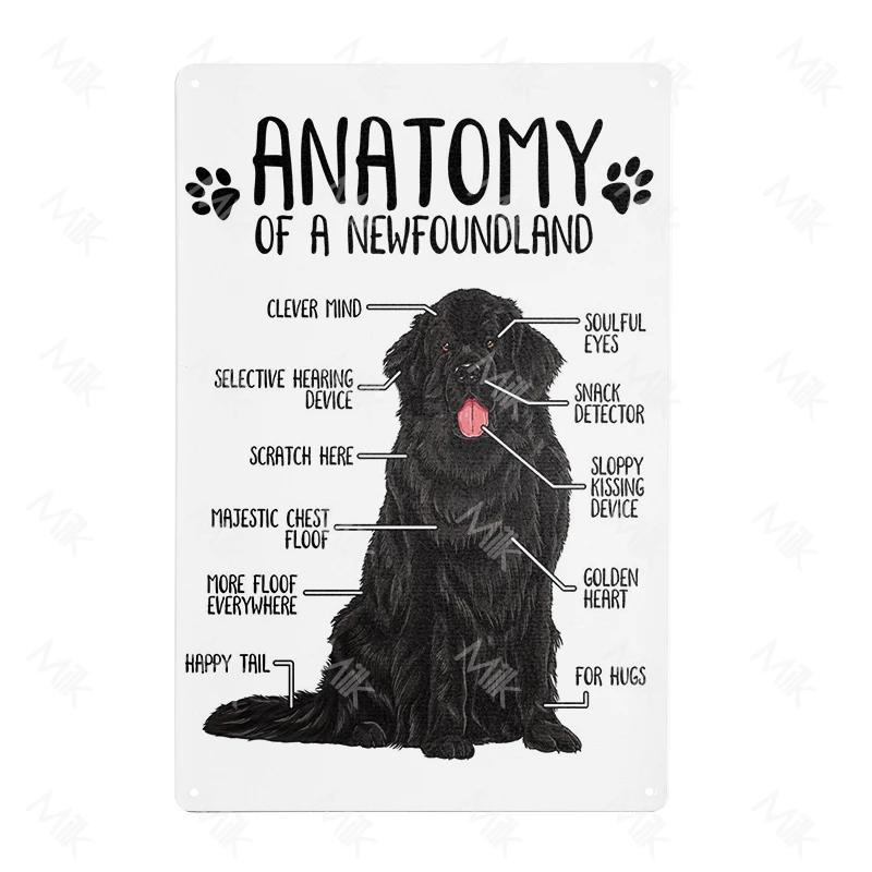 Metal Poster Newfoundland Dog Tin Sign Plate Retro Decor Cafe Home Pet Shop Bedroom Beach Vintage Home Decor Wall Art Plaque