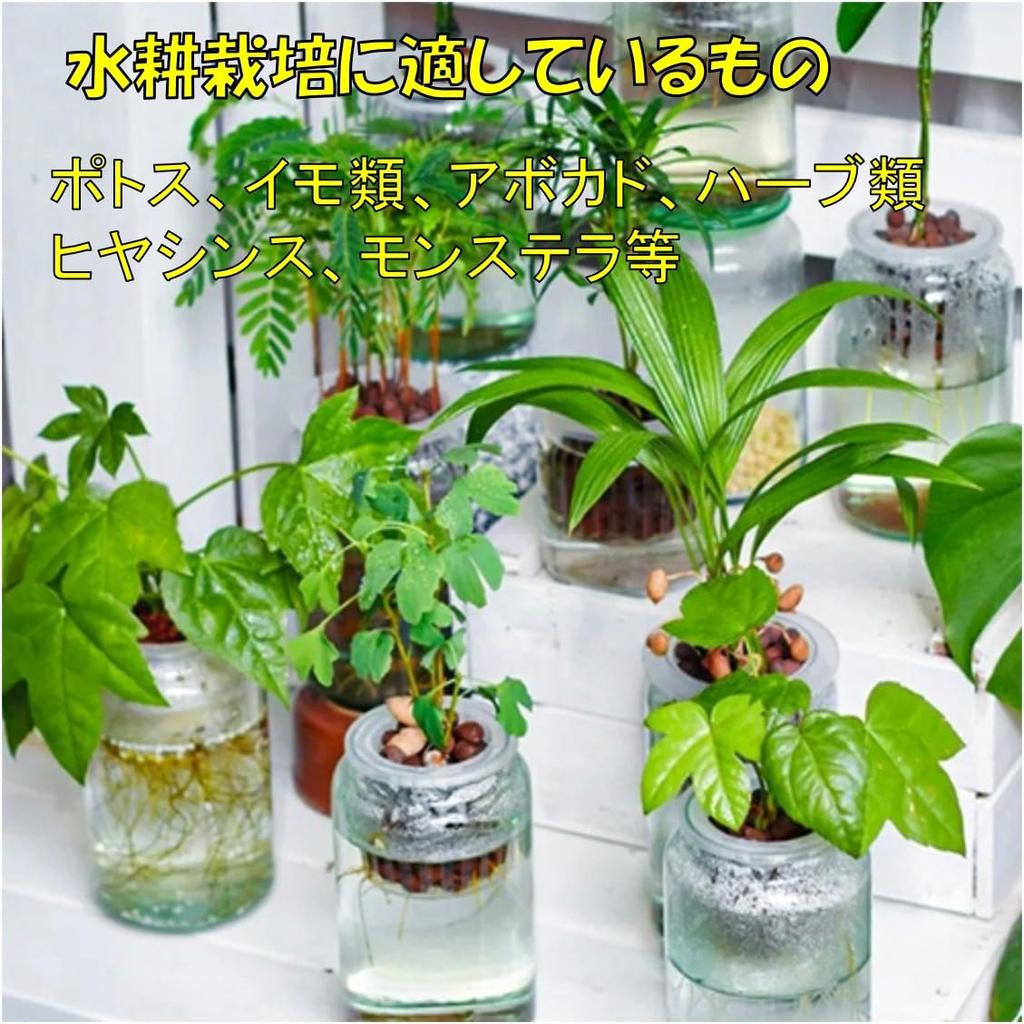 ST TS Hydroponic Plant Holder Cups, Set of 4, Wall-Mounted Hanging Planter, Flower Pot Accessory, Stand for Aquatic Plants and Houseplants