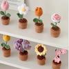 Simulated Flower Hand Woven Small Potted Plant Tulip Sunflower Hook Weaving Desktop Decoration Simulated Flower Ornament Gift