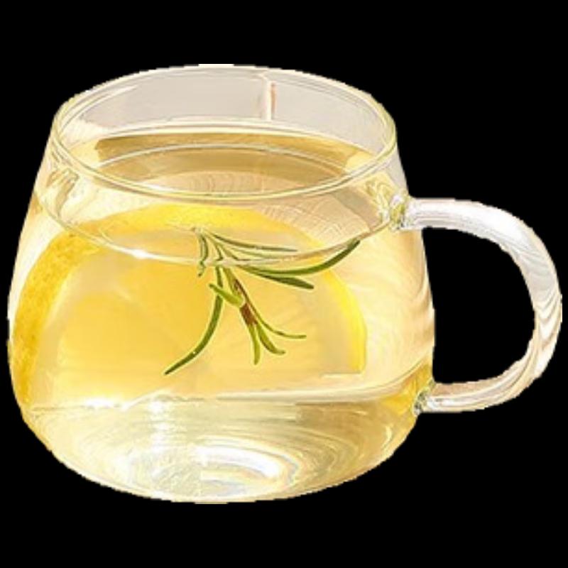 RELEA Glass Tea Infuser Bottle