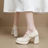 Damen High Heels dicke Absätze Frühling 2025 neues Temperament einzelne Schuhe leichter Mund vielseitiger Wortriemen französische Mary Jane Schuhe