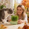 Hydroponic Indoor Cat Grass Tray Cute Elephant Shape Cat Grass Planting Tray Soil-Less Watering Hollow Out Container For Indoor