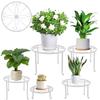 Reelyo Flower Pot Pot Flower Garden Gardening Flower Flower Set of 5 Stand, Stand, Stand, Rack, Iron, Stylish, Rack, Rack, Stand, Indoor, Outdoor,