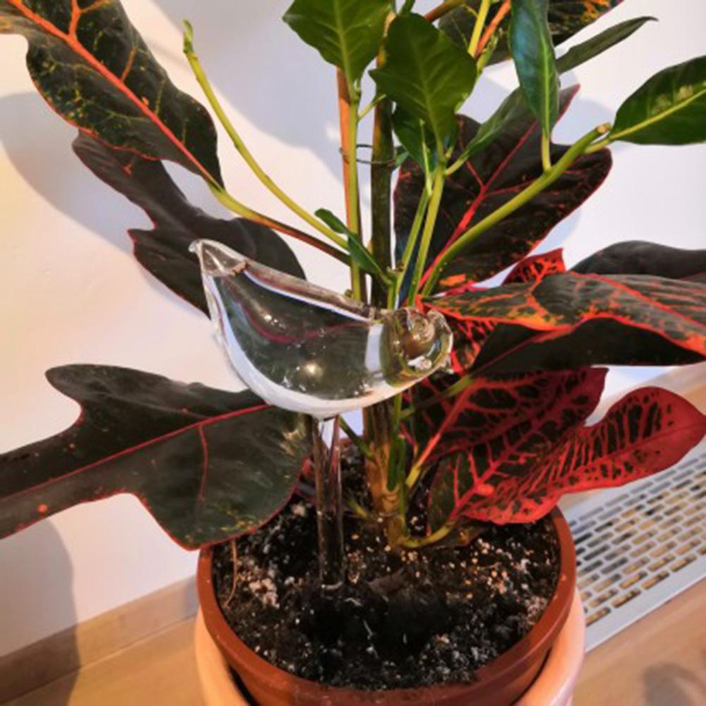 1-12PCS Automatic Plant Watering Bulb PVC Bird Shaped Transparent Self Watering Bulbs Home Garden Plant Dropper Drip Irrigation