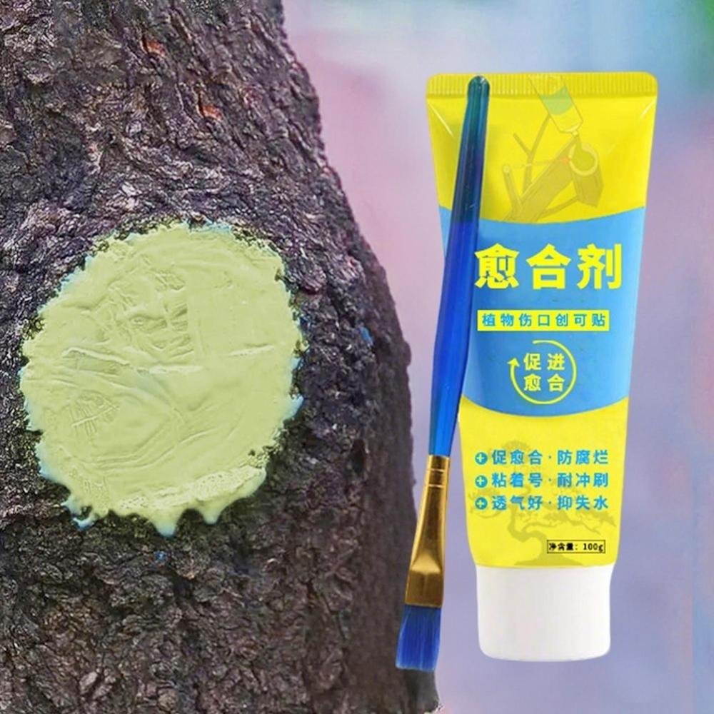 Smear Agent Tree Wound Sealant with Brush Plant Restoring Sealant New Pruning Compound  Tree Care
