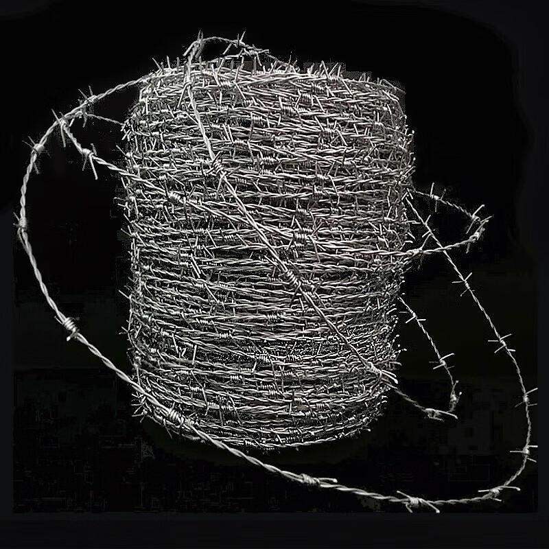 Haisidick Barbed Wire Security Fence