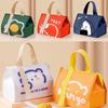 1 PC Insulated Lunch Bag For Women Kids Bag Portable Lunch Box Pack Tote Food Picnic Bags Lunch Bags For Work
