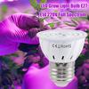 LED Grow Light Bulb E27 E14 220V Full Spectrum Grow Light Phyto Light Plant Growth Lamp Hydroponic Growth Light New