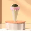 Cat Mint Ball Cat Licking Mocking Teeth Cleaning Self Hi Toy Ice Cream Edible Cat Pet Products