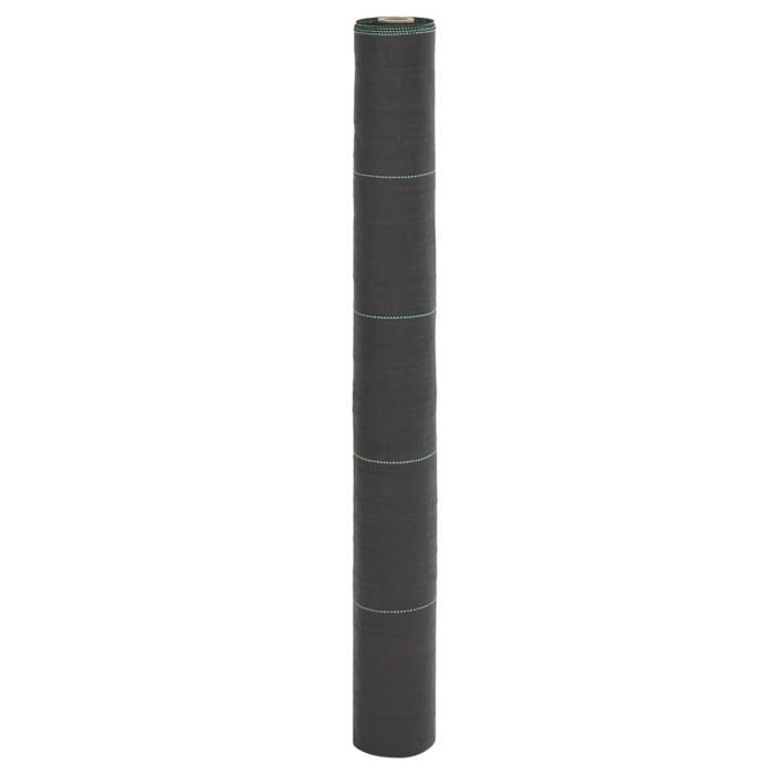 VidaXL Membrane anti-mauvaises herbes noir 1x100 m PP, tissu anti-mauvaises herbes, membrane de contrôle des mauvaises 4005217