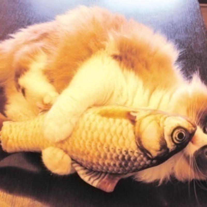 Nové mazlíček pes kotě kočka máta hračky na hraní tvar ryby plyšové hračky potažené šantou kočičí