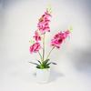 Phalaenopsis Potted Plant Ornament For Office Desk And Living Room Decor