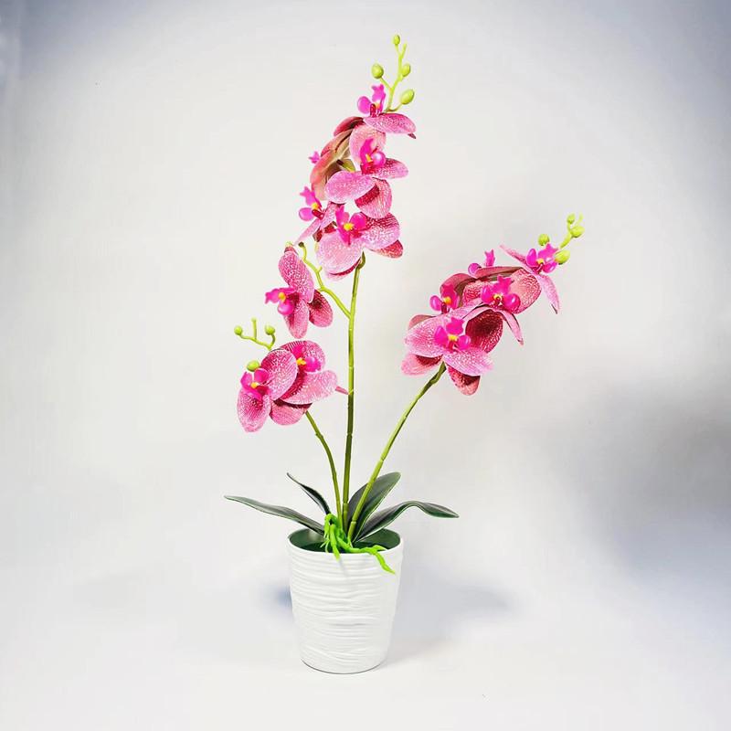 Phalaenopsis Potted Plant Ornament For Office Desk And Living Room Decor