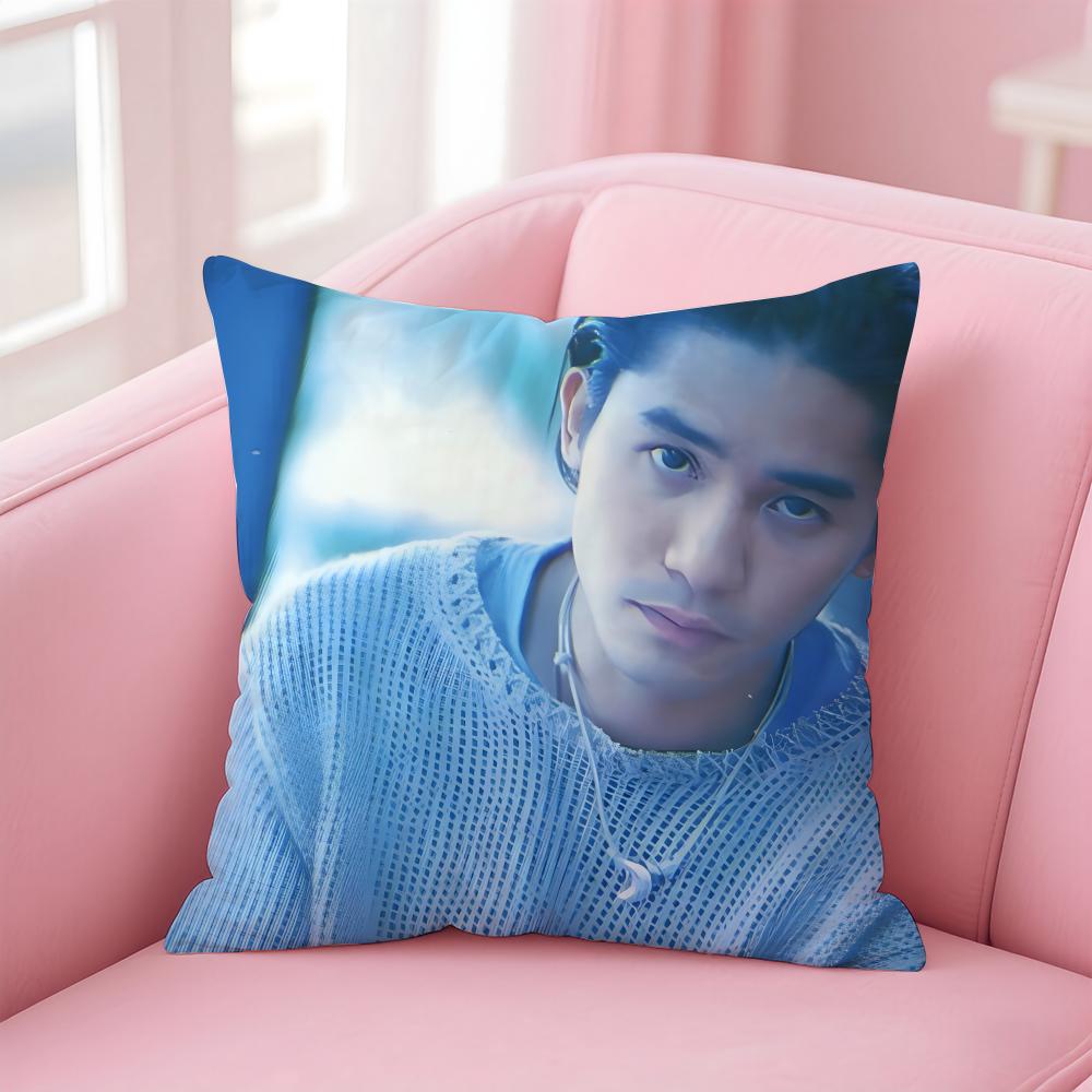 Handsome celebrities TTony Leung Cushion Cover Pillowcase Short Plush Invisible zipper Room Sofa Cushion Cover