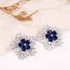 Korean Style Snowflake Zircon Earrings - High-End Fashion Jewelry for Women, Perfect Christmas Gift