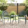 VidaXL Set of 2 Garden Chairs, Patio Seats, Balcony Chairs, Outdoor Gardening Patio Furniture, Green 4002801