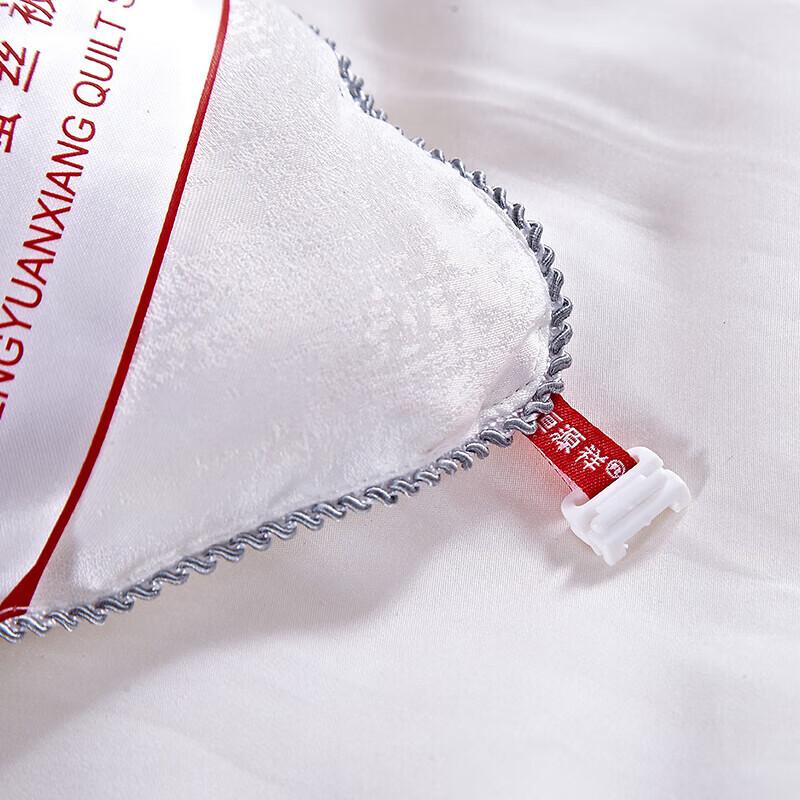 Hengyuanxiang Premium Mulberry Silk Quilt Comforter