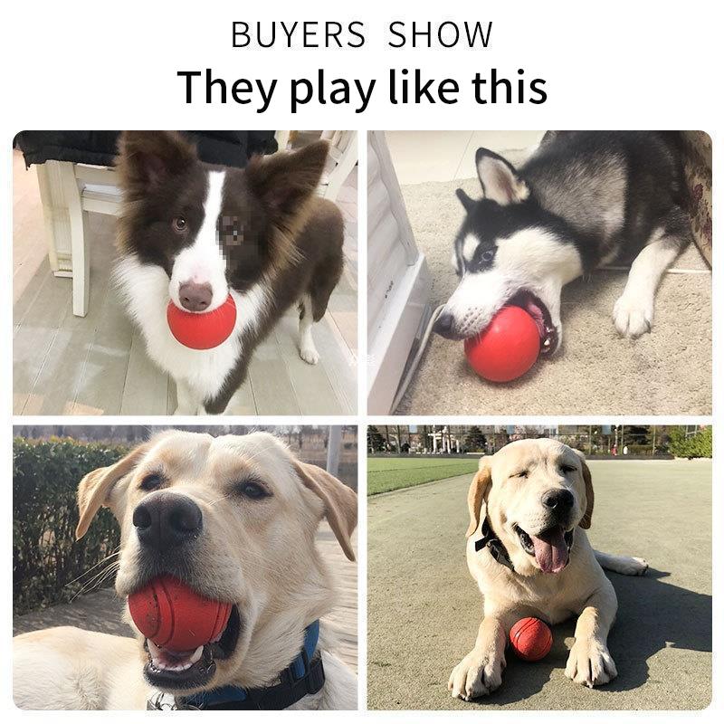 Jucărie pentru câini Minge de cauciuc Jucărie cu minge rezistentă la mușcături pentru câini Cățeluș Teddy Pitbull Culoare roșie Minge solidă SL Articole pentru animale de companie