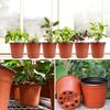 100/20pcs Two-colors Seeding Nursery Pot Plastic Plants Flowers Seedling Cups Grow Box Home Garden Nursery Pot Potted Containers
