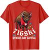 716SKI Dyngus Day Capital Buffalo NY Bison Design T-Shirt
