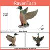 Duck Model Realistic Plastic Waterfowl Figurines Toy For Kids Play And Learning