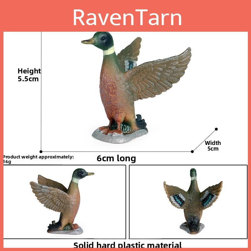 Duck Model Realistic Plastic Waterfowl Figurines Toy For Kids Play And Learning