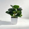 Desktop Ornament Home Decor Ring Plastic Green 1 Pc