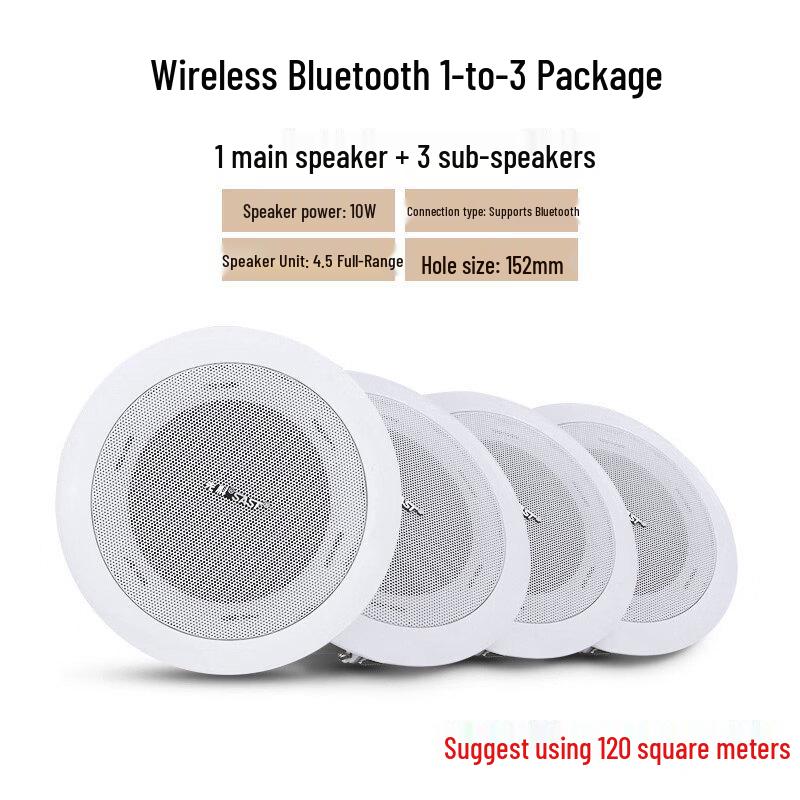 

SAST Bluetooth Coaxial Ceiling Speaker System (CN version)