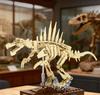 Dinosaur Skeleton Building Blocks: Movable Display Model for Children's Educational Toy