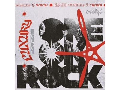 ONE OK ROCK Luxury Disease Erste limitierte Auflage CD+DVD WPZR-30930 J-Pop NEU