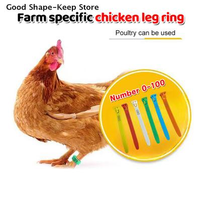 50/100Pcs 5 Color Chicken Poultry Reusable Adjustable Chicken Foot Rings Flexible Retractable Foot Straps Poultry Marking Cards