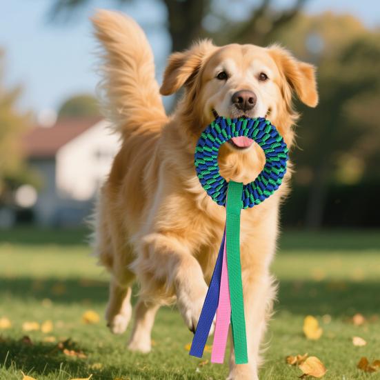 Pet Chewing Toy Donut Shape Toy with Woven Oxford Fabric Cotton Rope for Teeth Grinding Cleaning Massage Safe Braided Tug Toy for Dogs