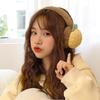 Adjustable Fruit Ear Muffs Warm & Soft Fluffy Cute Winter Warm Earmuff Ear Muffs