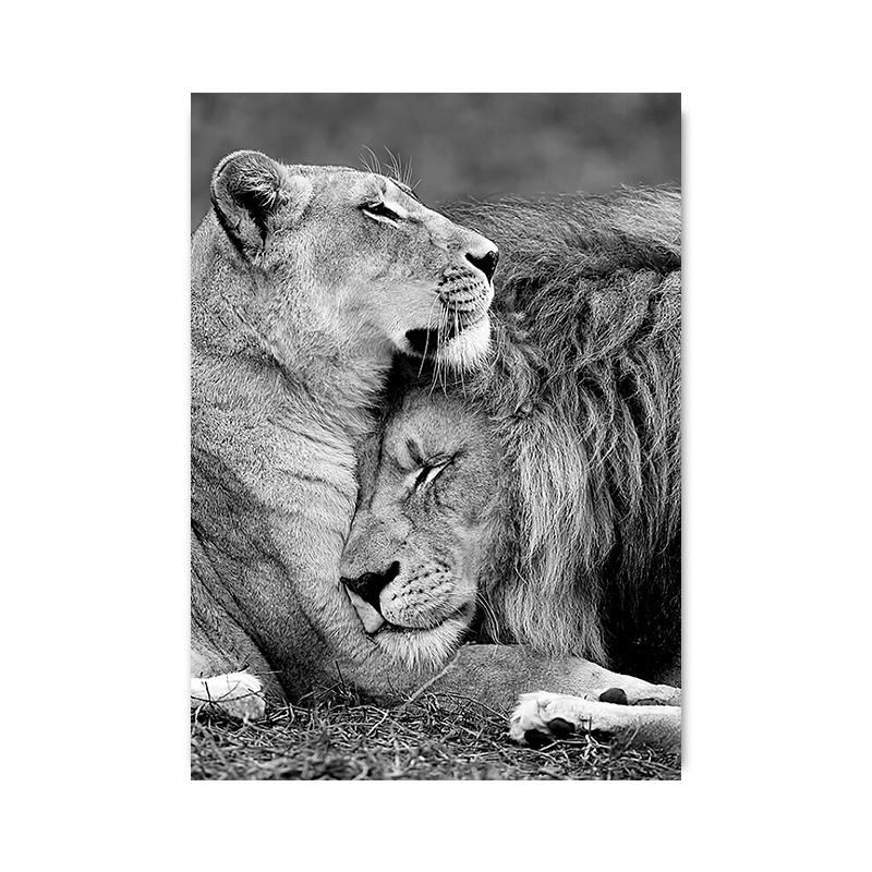 

Современные животные прекрасный лев холст картины постеры и принты настенные художественные картины для гостиной украшения дома Cuadros 21x30cm No Framed