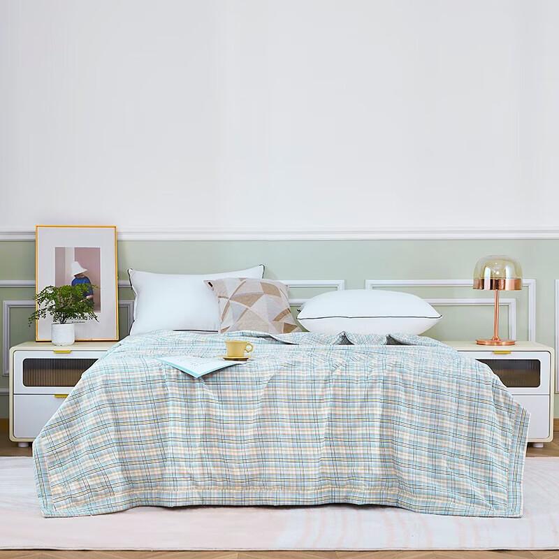 Pierte Paul Xinjiang Cotton All-Season Quilt