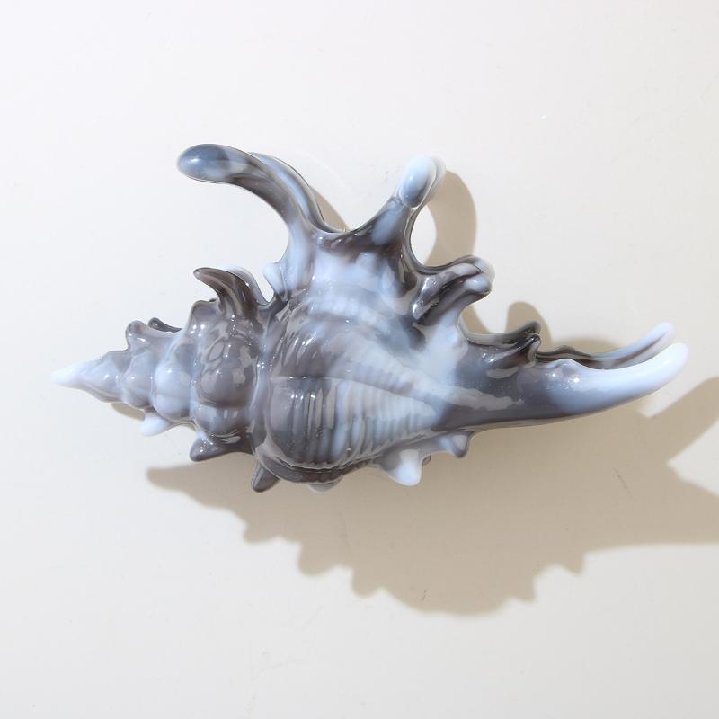 1Pcs Hair Claw Elegant Shark Clip Creative Conch Hairpin Colorful Gift For Summer Beach Headwear Hair Accessories