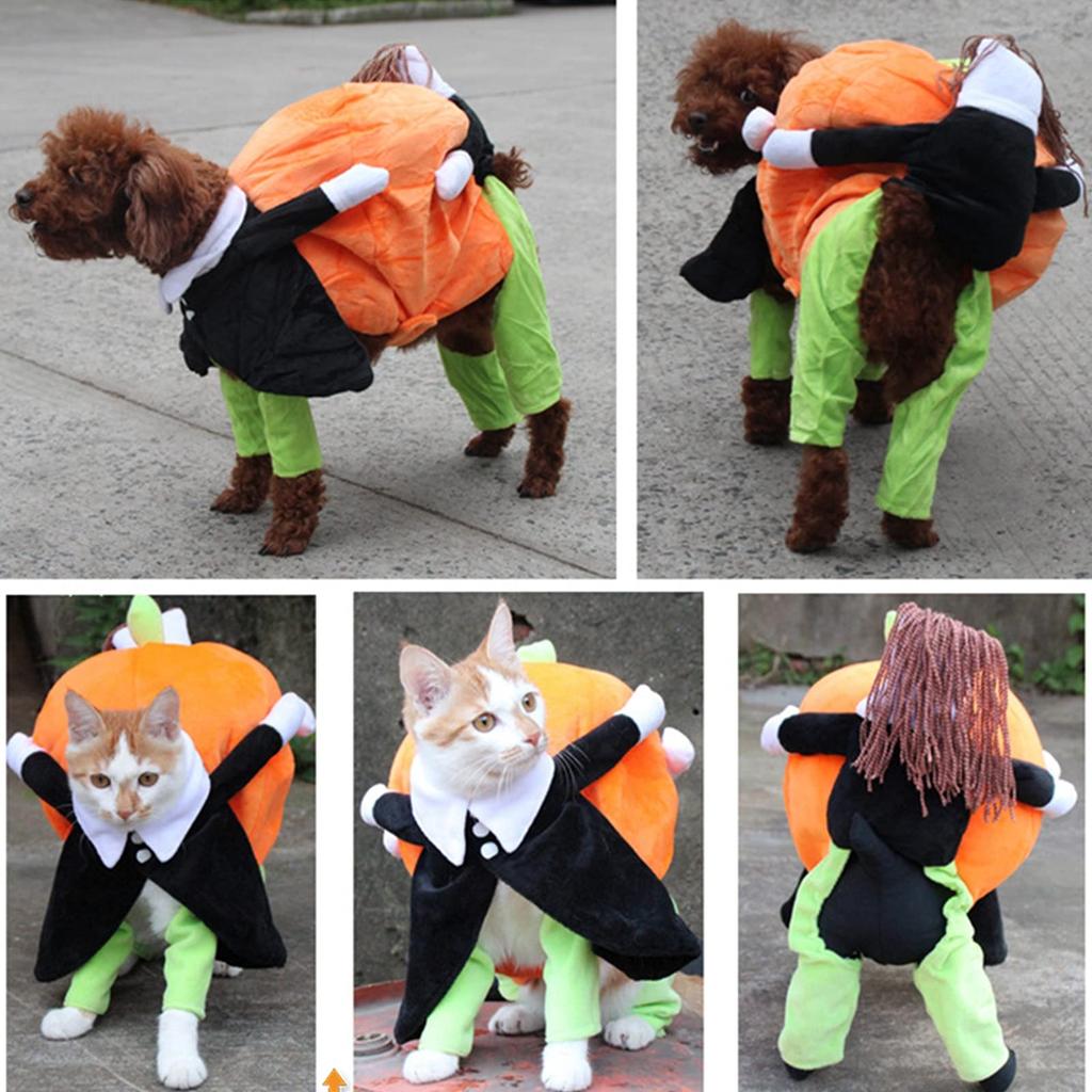 Halloween Pumpkin Dog Costume, Funny Pet Costume, Dog And Cat Costume, Halloween Party Decoration Set, Holiday Costumes