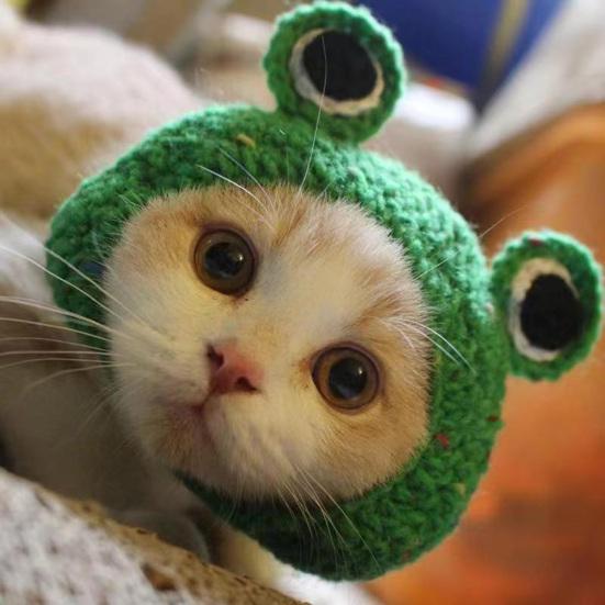 Cat Hat Pets Knitted Cosplay Hat Halloween Christmas Party Costume Headwear Dress-up Accessories for Puppy Cat Kitten