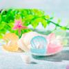 Microlandscape Ocean Beach Landscaping Ornaments Colorful Luminous Shell Pearl Ornaments Fish Tank Aquarium Resin Ornaments
